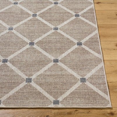 Surya Judie JUD-2302 Beige Machine Washable Area Rug by LIVABLISS