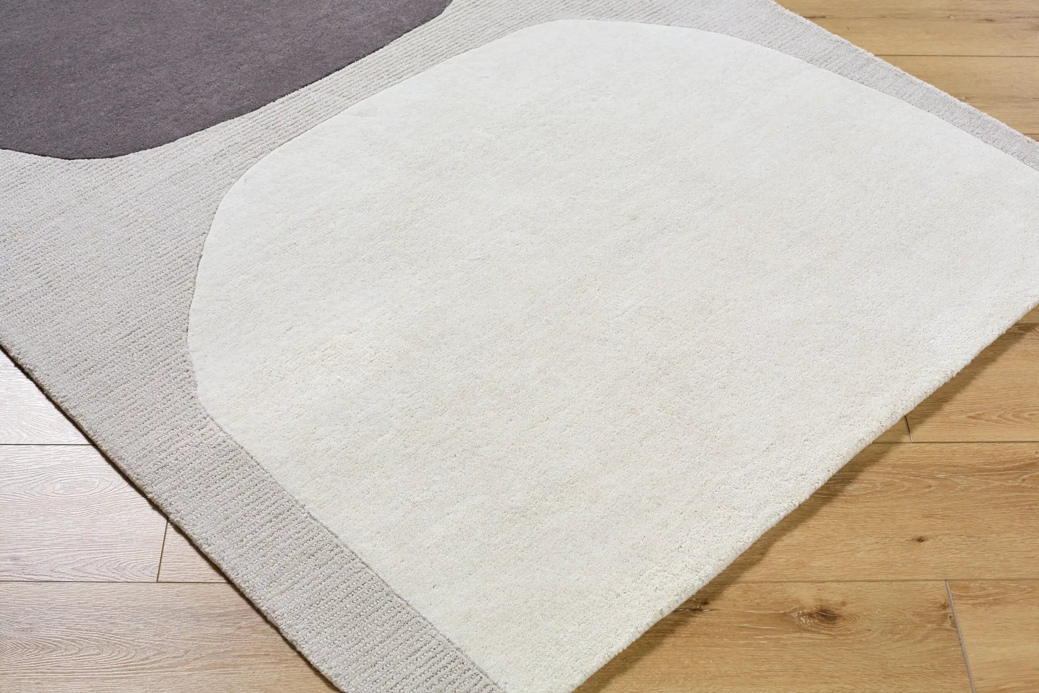 Rossi JWRS-2302 Charcoal Area Rug by LIVABLISS