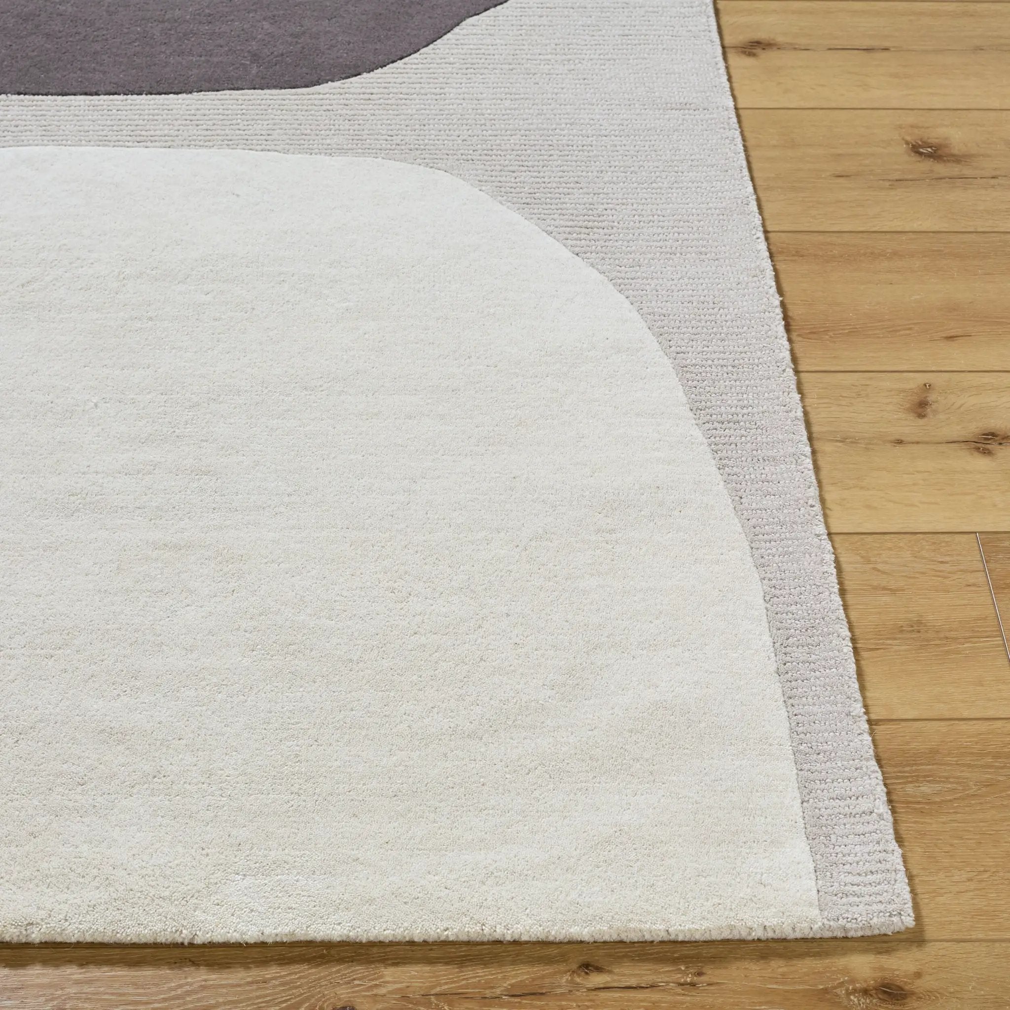 Rossi JWRS-2302 Charcoal Area Rug by LIVABLISS