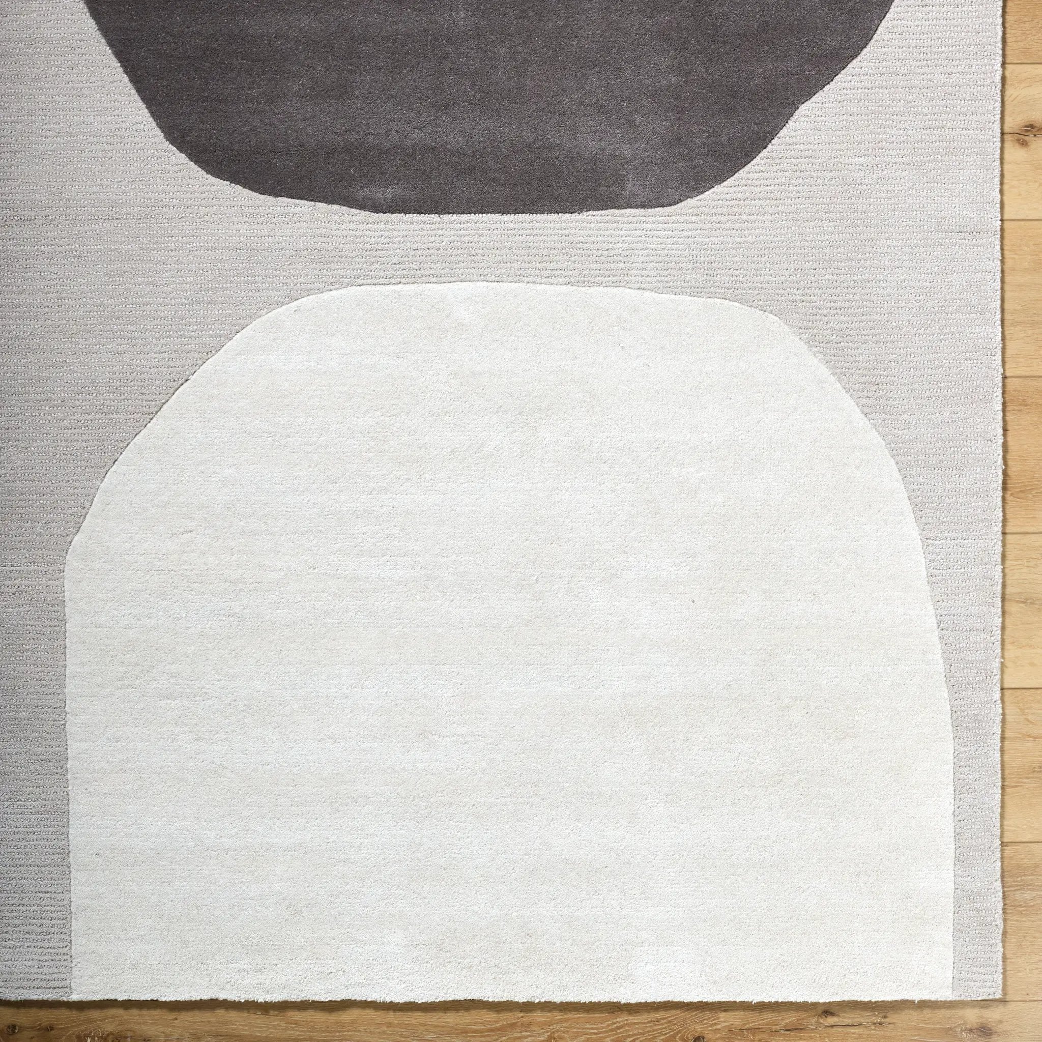 Rossi JWRS-2302 Charcoal Area Rug by LIVABLISS