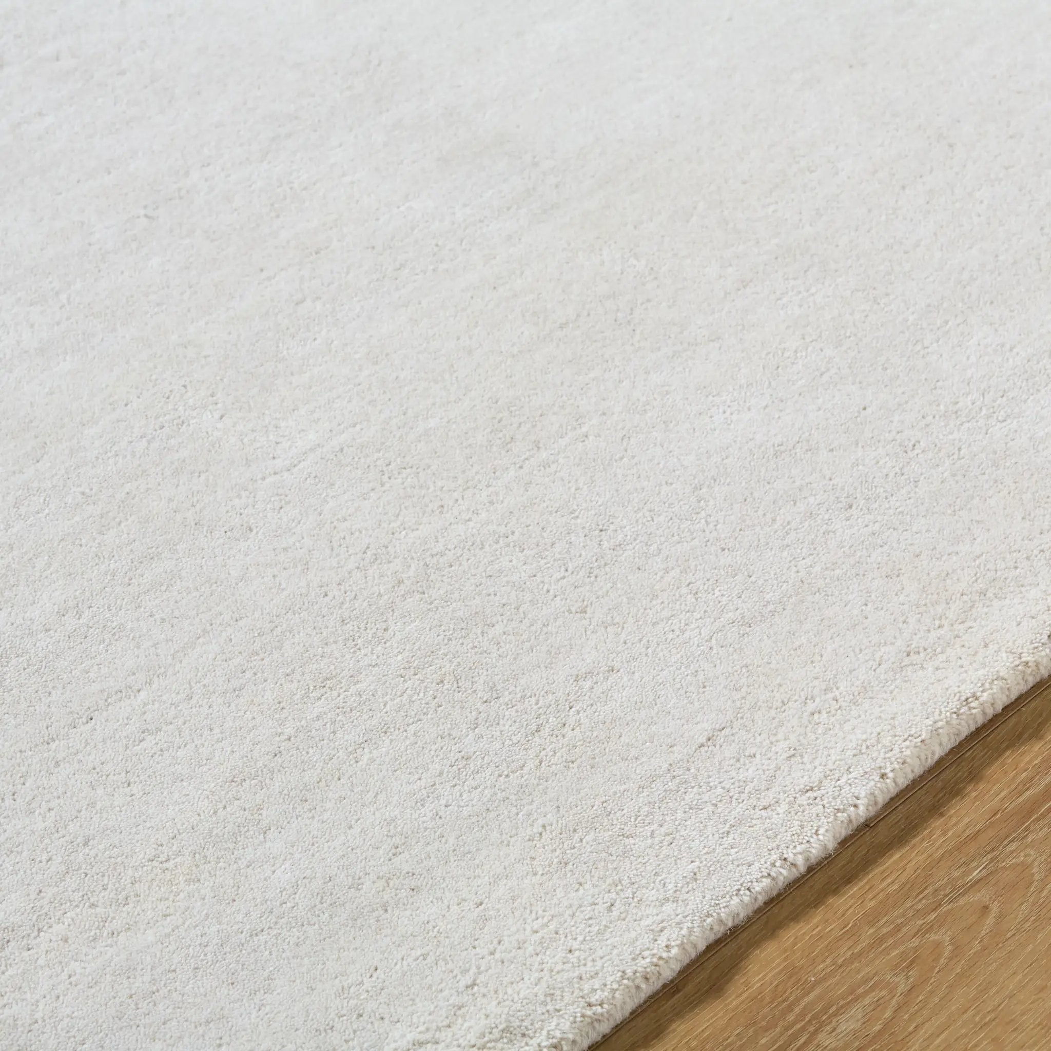 Rossi JWRS-2302 Charcoal Area Rug by LIVABLISS
