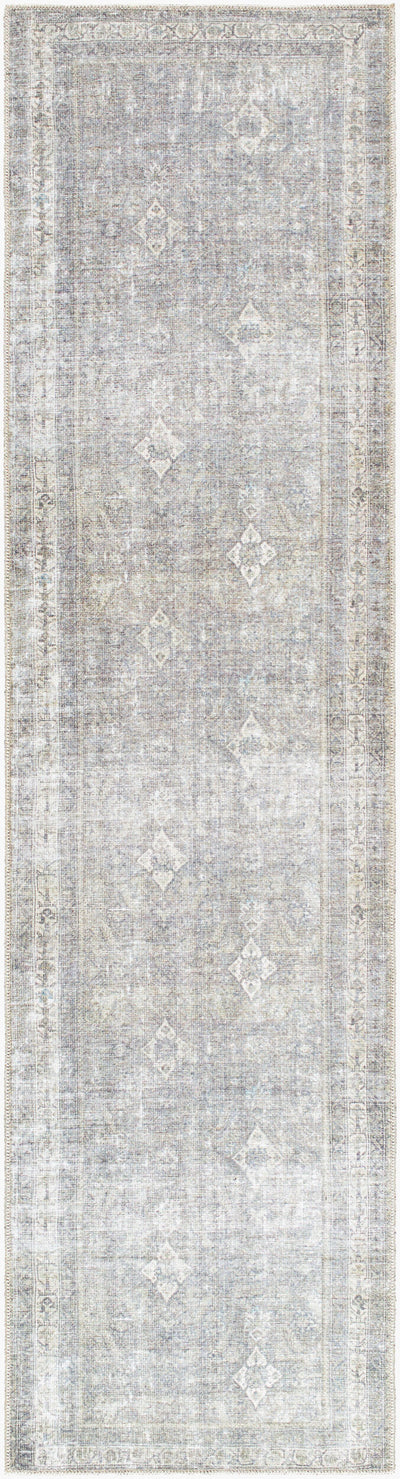 Surya Kemer KMR-2311 Sage Machine Washable Area Rug by LIVABLISS