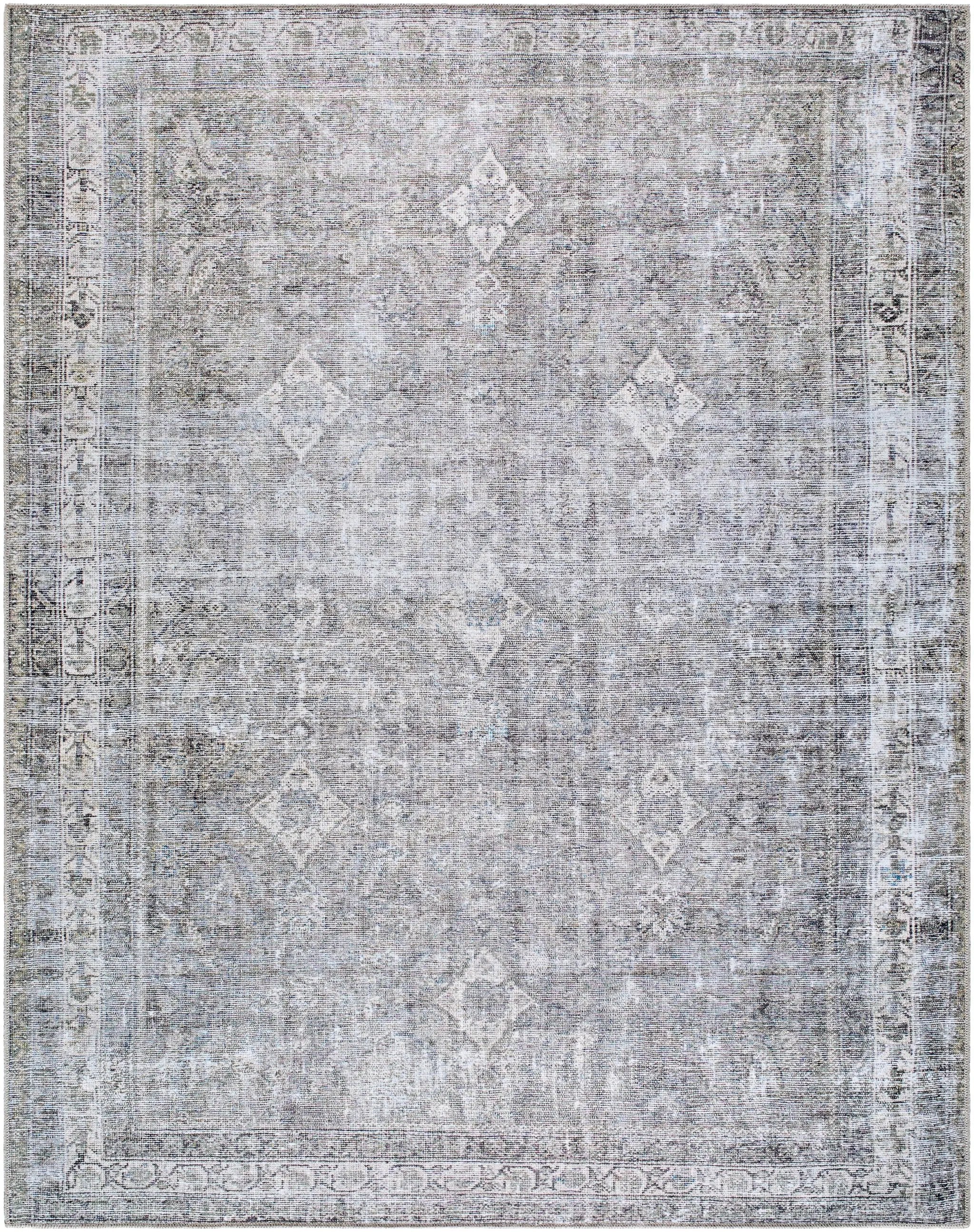 Kemer KMR-2311 Sage Area Rug by LIVABLISS