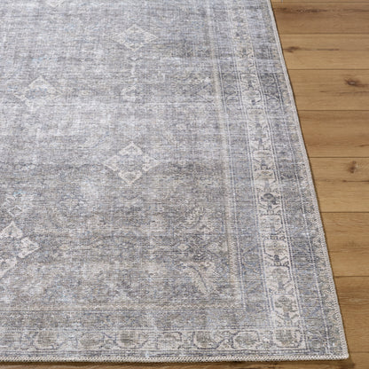 Surya Kemer KMR-2311 Sage Machine Washable Area Rug by LIVABLISS