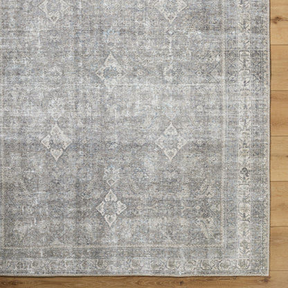 Surya Kemer KMR-2311 Sage Machine Washable Area Rug by LIVABLISS
