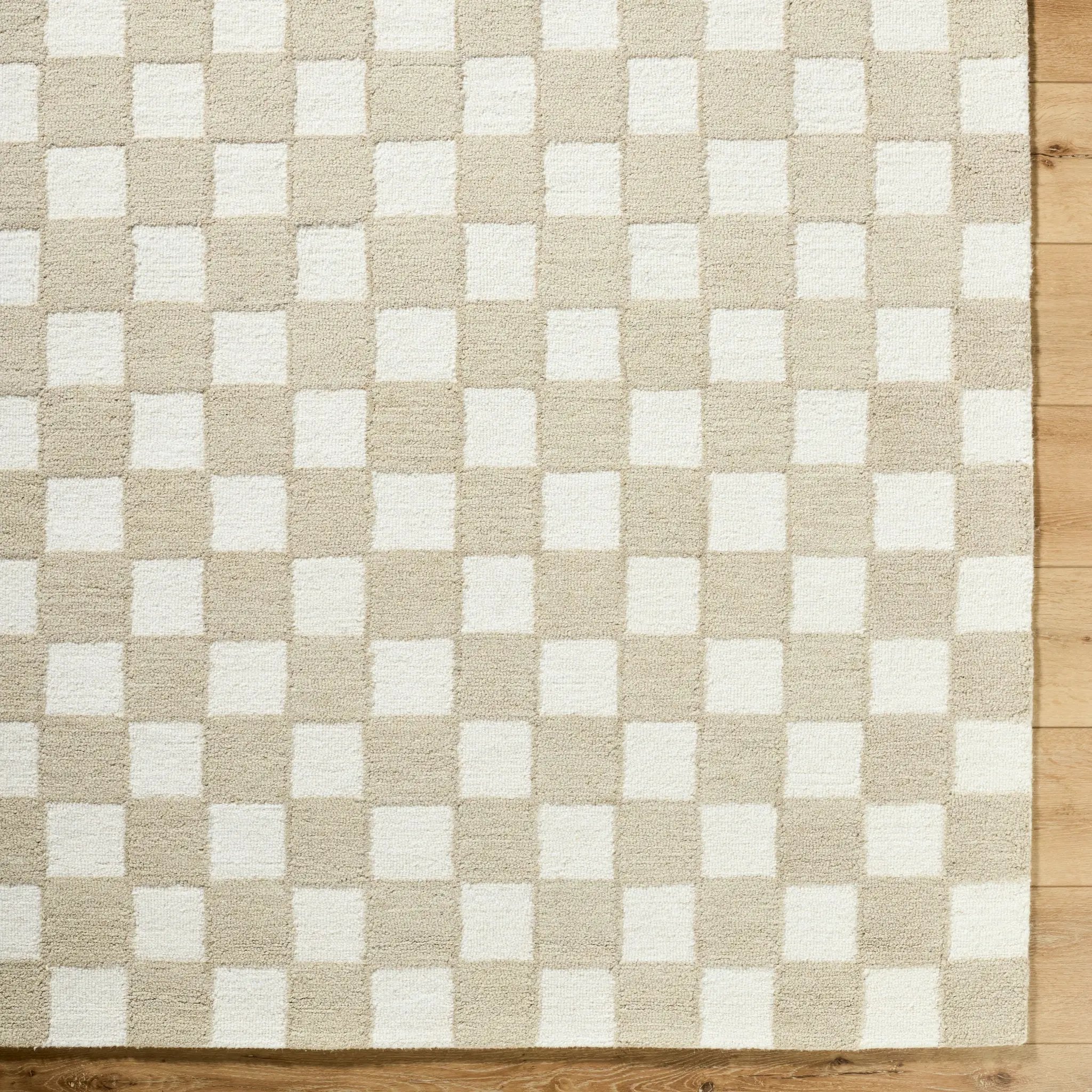 Klopp KPP-2302 Beige Area Rug by LIVABLISS