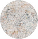 Surya Laila LAA-2304 Light Gray Area Rug by LIVABLISS