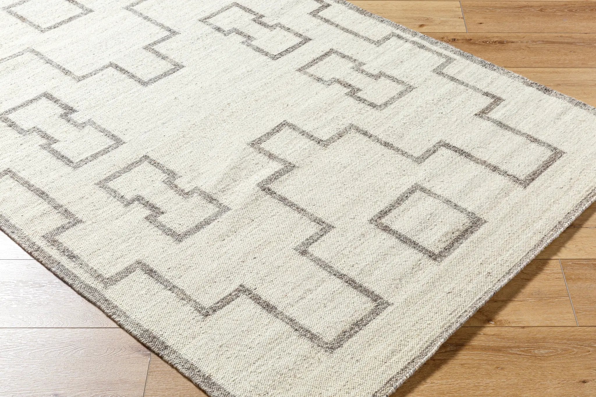 Lanesra LAR-2301 Ivory Area Rug by LIVABLISS