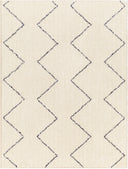 Surya Lykke LKK-2307 Ivory Machine Washable Area Rug by LIVABLISS