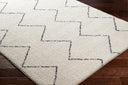 Surya Lykke LKK-2307 Ivory Machine Washable Area Rug by LIVABLISS