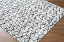 Surya Lustro LSR-2333 Gray Area Rug by LIVABLISS