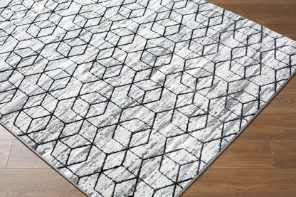 Surya Lustro LSR-2333 Gray Area Rug by LIVABLISS