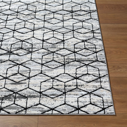 Surya Lustro LSR-2333 Gray Area Rug by LIVABLISS