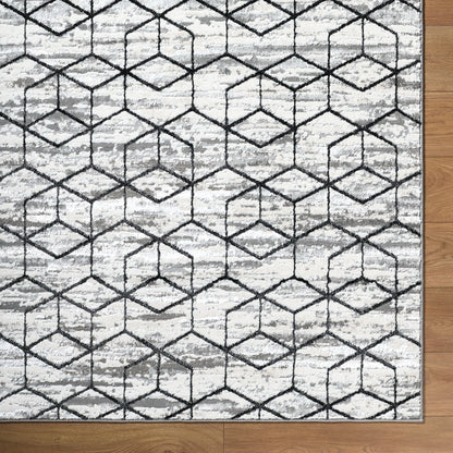 Surya Lustro LSR-2333 Gray Area Rug by LIVABLISS