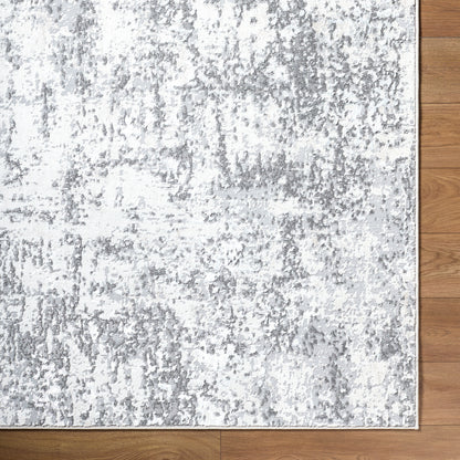 Surya Lustro LSR-2334 Ivory Area Rug by LIVABLISS