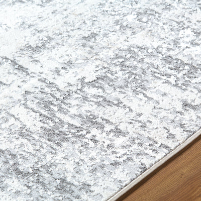 Surya Lustro LSR-2334 Ivory Area Rug by LIVABLISS