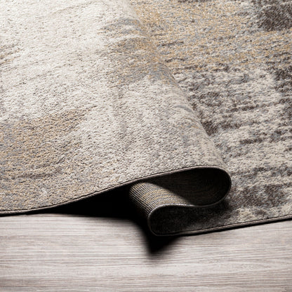 Surya Lavadora LVR-2315 Taupe Machine Washable Area Rug by LIVABLISS
