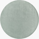 LIVABLISS Mystique M-5328 Dusty Sage Hand Loomed Area Rug