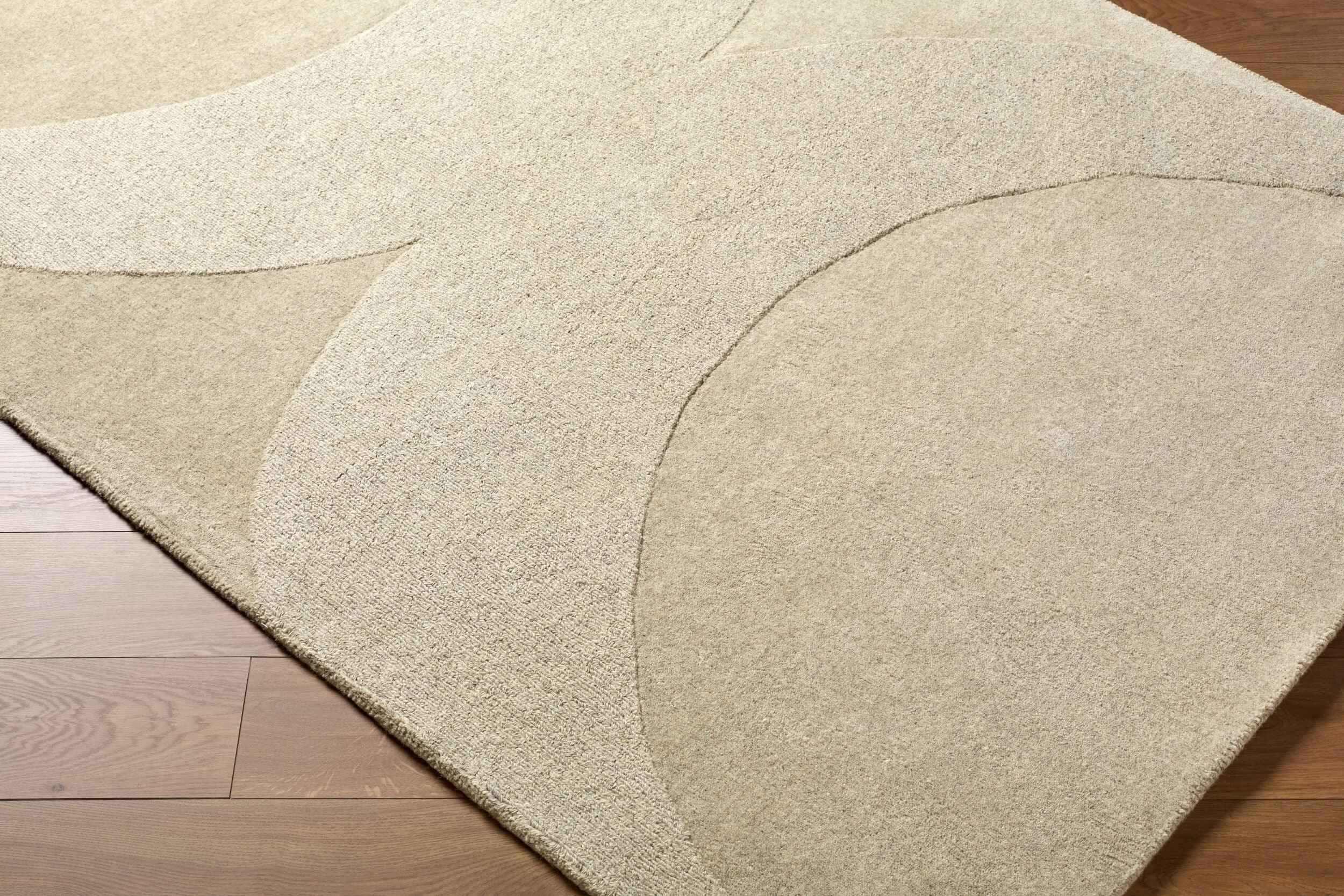 Livabliss Mystique M-5478 Beige Area Rug by LIVABLISS