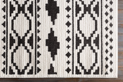 Surya Moroccan Shag MCS-2305 Black Area Rug by LIVABLISS