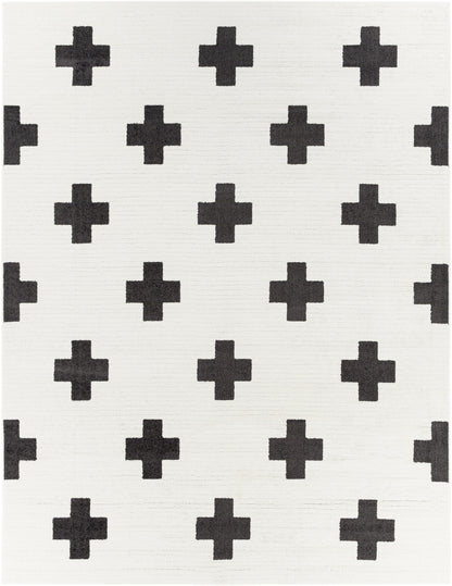 Surya Moroccan Shag MCS-2306 Black Area Rug by LIVABLISS