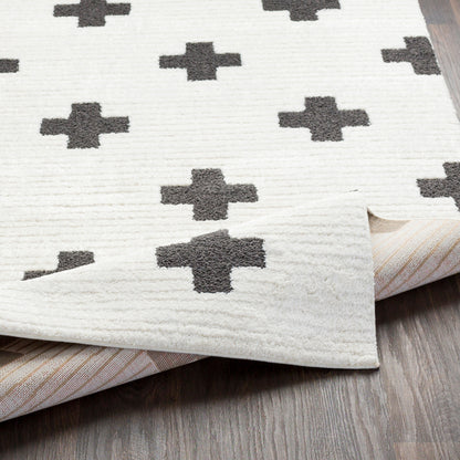 Surya Moroccan Shag MCS-2306 Black Area Rug by LIVABLISS