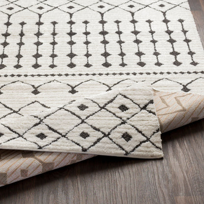 Surya Moroccan Shag MCS-2309 White Area Rug by LIVABLISS