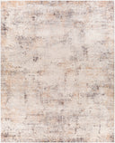 Surya Mood MDD-2301 Tan Area Rug by LIVABLISS