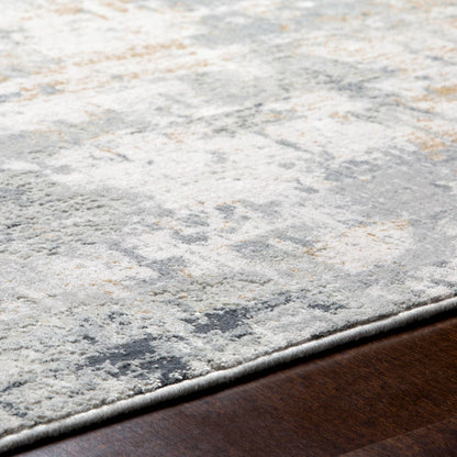 Surya Milano MLN-2304 Gray Area Rug by LIVABLISS
