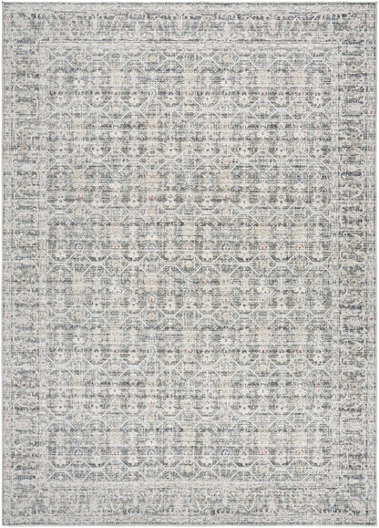 Surya Marlon MLO-2301 Slate Area Rug by LIVABLISS