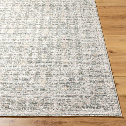 Surya Marlon MLO-2301 Slate Area Rug by LIVABLISS