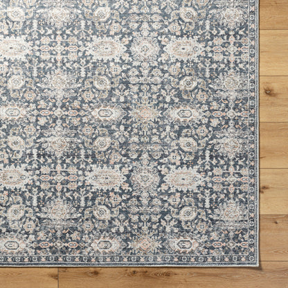 Surya Marlon MLO-2302 Black Area Rug by LIVABLISS