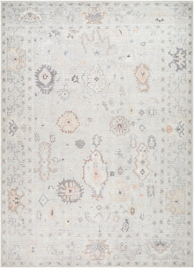 Surya Marlon MLO-2308 Light Slate Area Rug by LIVABLISS