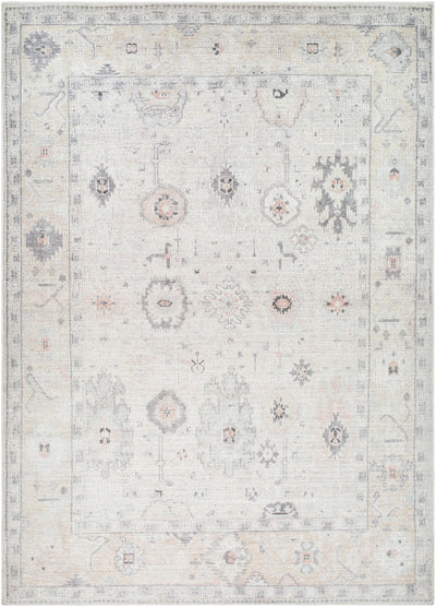 Surya Marlon MLO-2309 Light Beige Area Rug by LIVABLISS