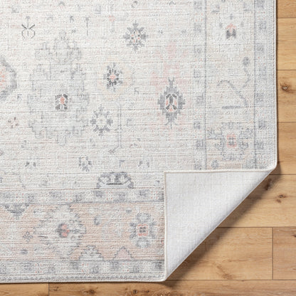 Surya Marlon MLO-2309 Light Beige Area Rug by LIVABLISS