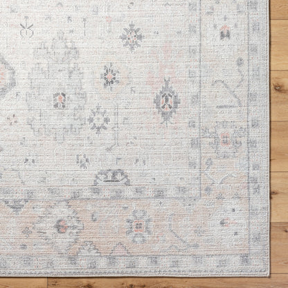 Surya Marlon MLO-2309 Light Beige Area Rug by LIVABLISS
