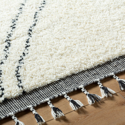 Surya Mirela MMI-2302 Ivory Area Rug by LIVABLISS