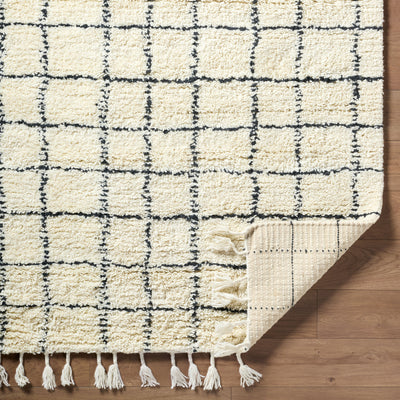 Surya Mirela MMI-2303 Ivory Area Rug by LIVABLISS