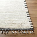 Surya Mirela MMI-2304 Ivory Area Rug by LIVABLISS