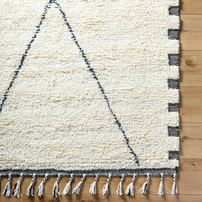 Surya Mirela MMI-2306 Ivory Area Rug by LIVABLISS