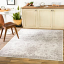 Surya Monte Carlo MNC-2331 Light Gray Area Rug by LIVABLISS