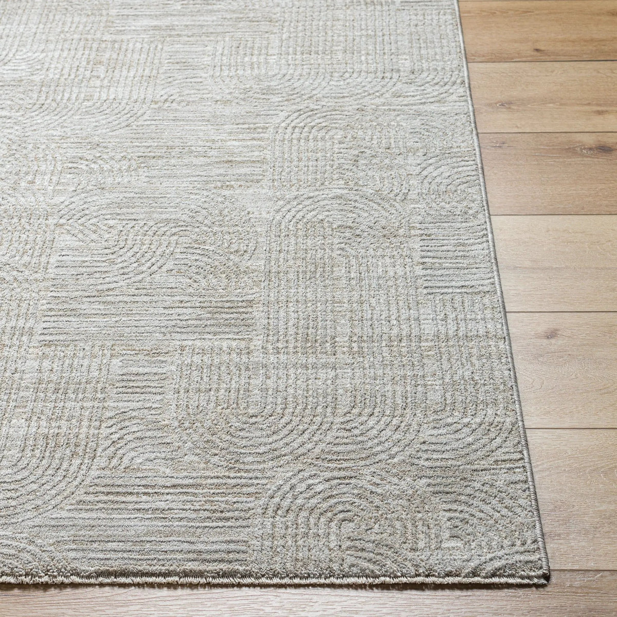 LIVABLISS Masterpiece MPC-2311 Light-Gray Area Rug