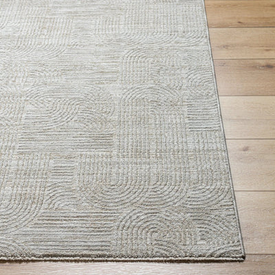 LIVABLISS Masterpiece MPC-2311 Light-Gray Area Rug