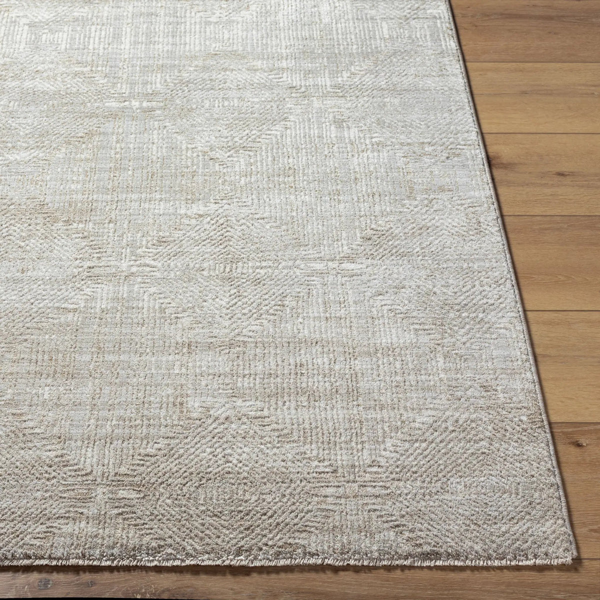 LIVABLISS Masterpiece MPC-2313 Light-Gray Area Rug