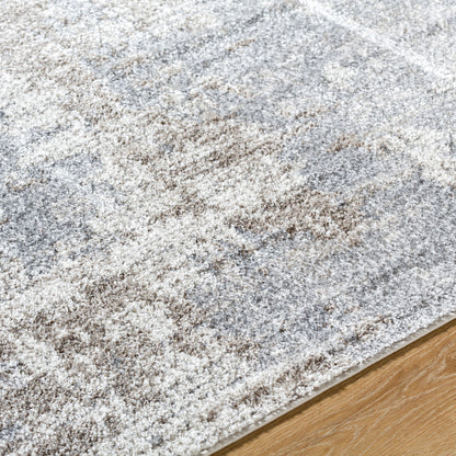Surya Merengue MRG-2301 Charcoal Area Rug by LIVABLISS