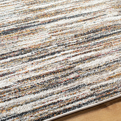 Surya Merengue MRG-2304 Charcoal Area Rug by LIVABLISS
