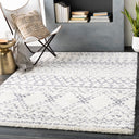 Surya Maroc Shag MRS-2301 White Area Rug by LIVABLISS