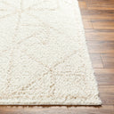 Surya Maryland Shag MSG-2300 Ivory Area Rug by LIVABLISS