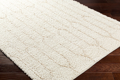 Surya Maryland Shag MSG-2301 Ivory Area Rug by LIVABLISS