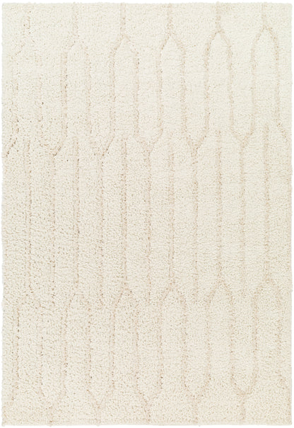 Surya Maryland Shag MSG-2301 Ivory Area Rug by LIVABLISS